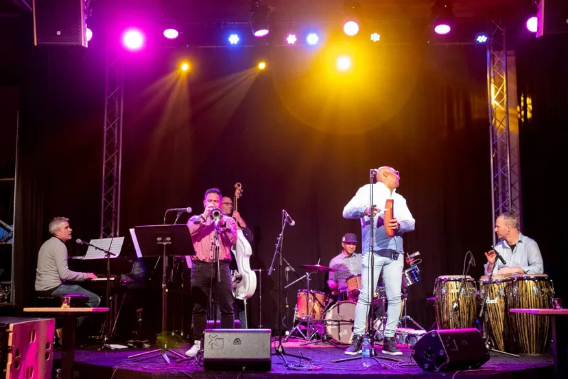 descarga timbera 2 credit wijnand schouten groot