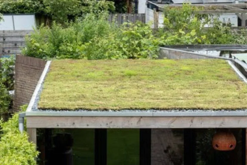 ontwerp zonder titel 2025 02 28t185536729