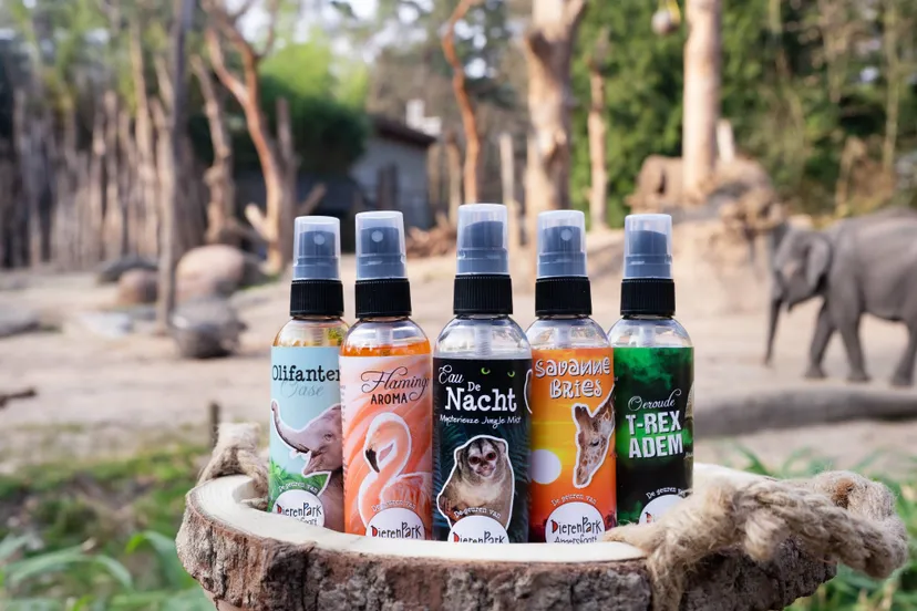 dierenpark amersfoort lanceert huisparfums waar een luchtje aan zit