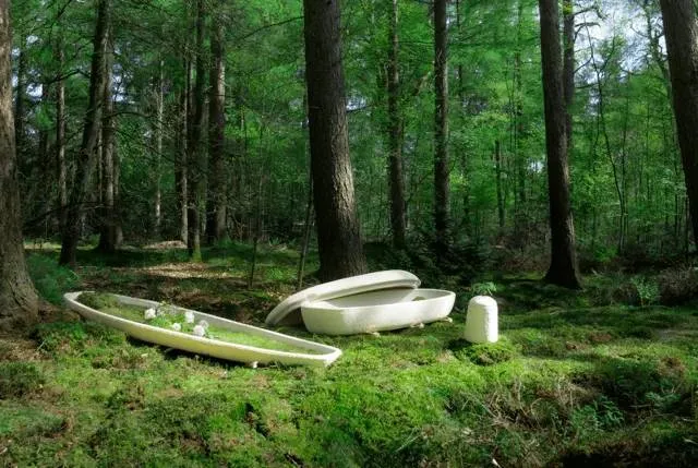 mycelium loop assortiment 67c8253db82e8jpg