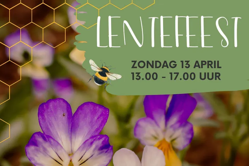 ontwerp zonder titel 2025 03 13t184831830