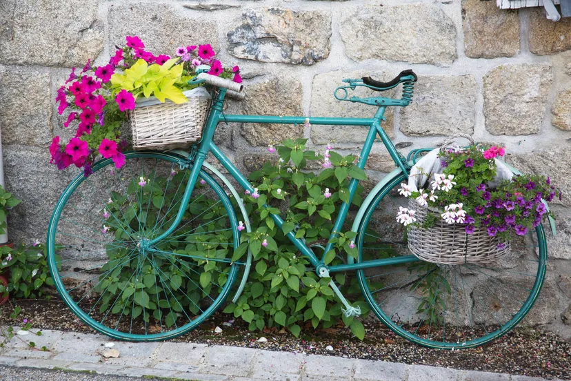 0714 0952 foto anneke beemer