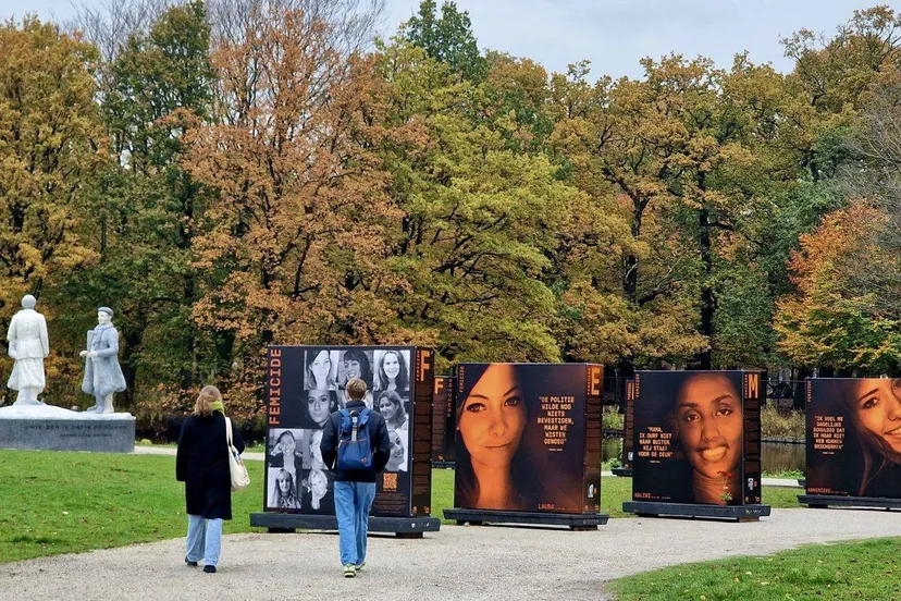 20241115 111829 3 1536x828