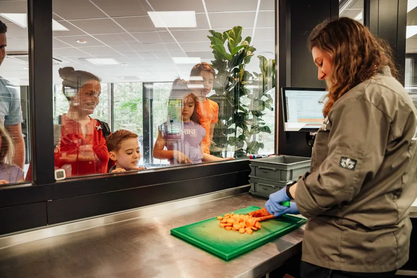 Van reusachtige koelingen tot de krioelende insectenkweek deze backstagetour geeft een interessant kijkje in de bereiding van het voedsel