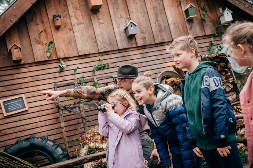 Unieke vleermuisavonden in het bos van DierenPark Amersfoort