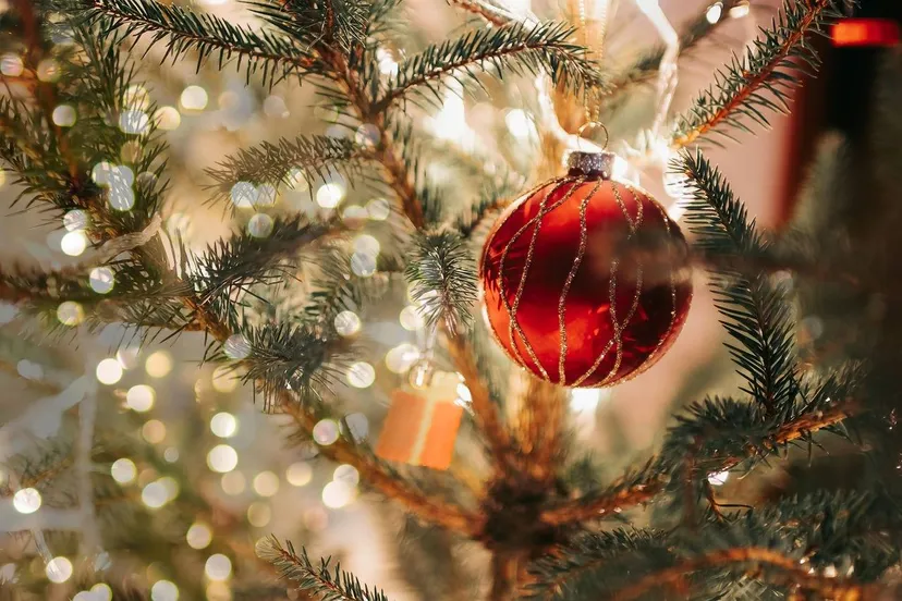 christmas-tree-7717938_1280