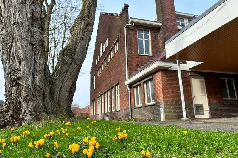 Lente in de WAR (Groot)