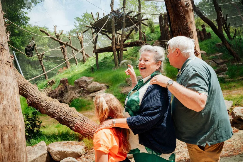 Vanwege de aanhoudende vergrijzing in Nederland kiest het park ervoor om de beleving deels aan te passen aan de behoeften van de oudere generatie
