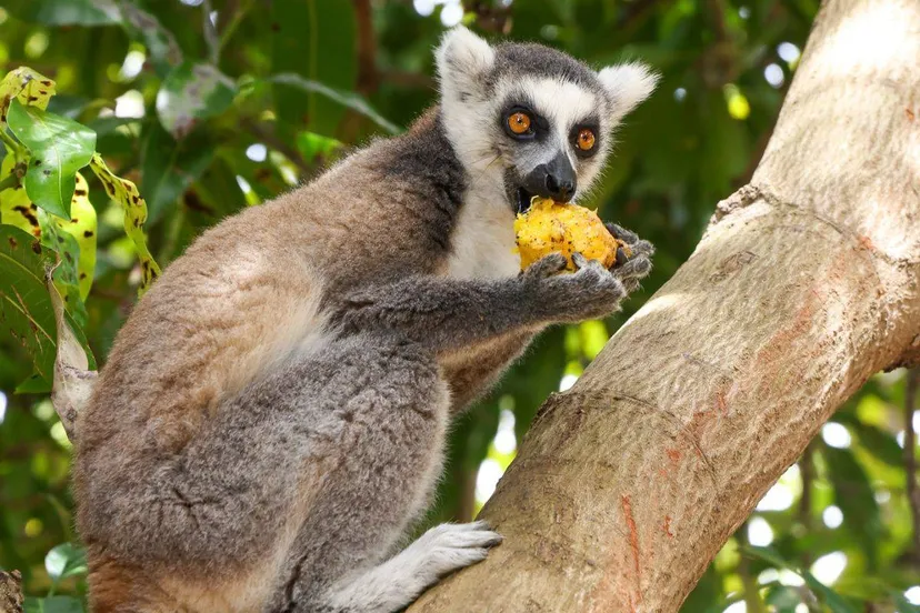 Ontwerp zonder titel (85)