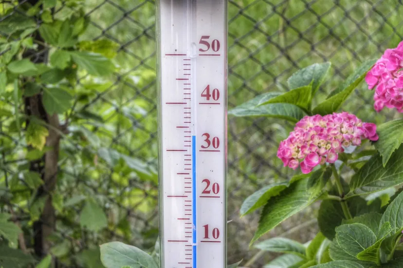 thomaswolter-thermometer-398735