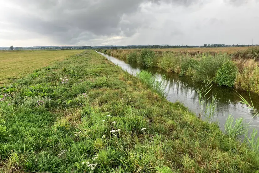 Valleikanaal binnenveldse hooilanden