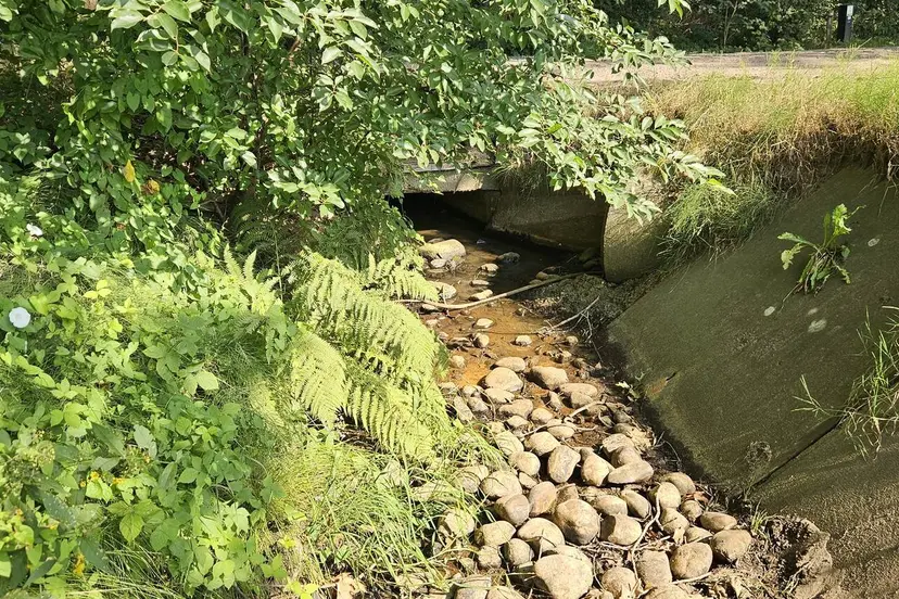 Veldbeek Bussenweg Putten