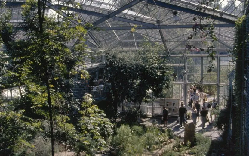 11a