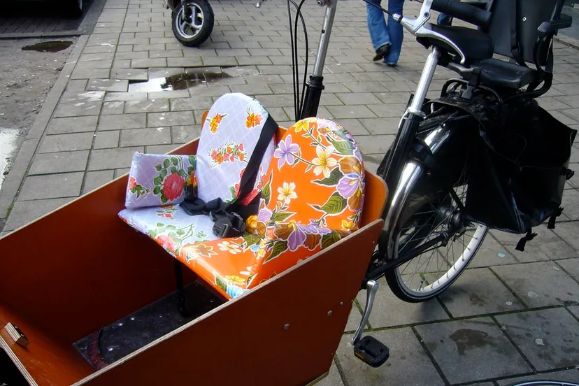 434059436 77308d75a2 b