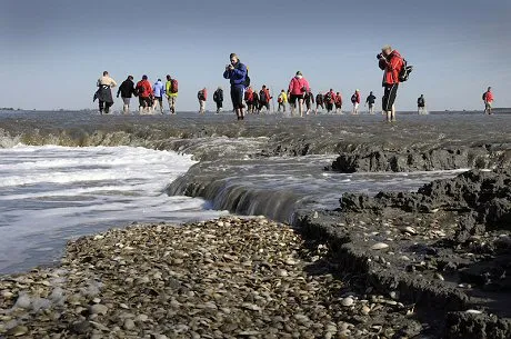 c0372e53 1d16 4a1c 90df 54371f278e3f wadlopen c henk postma