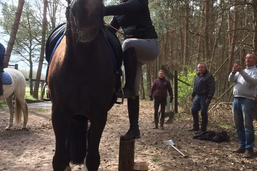 13 apr 3 paardenpaden e1555473601166