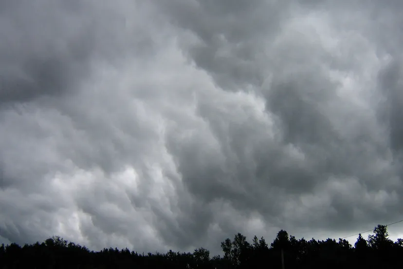 7434386770 258d6a8f01 o