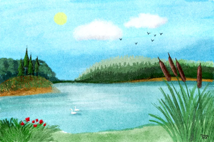 awp natuur print social media klein