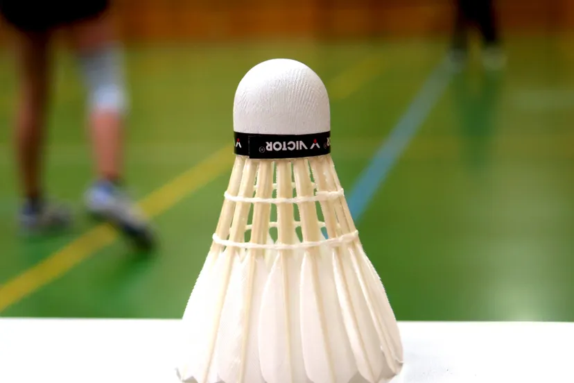 badminton 783601