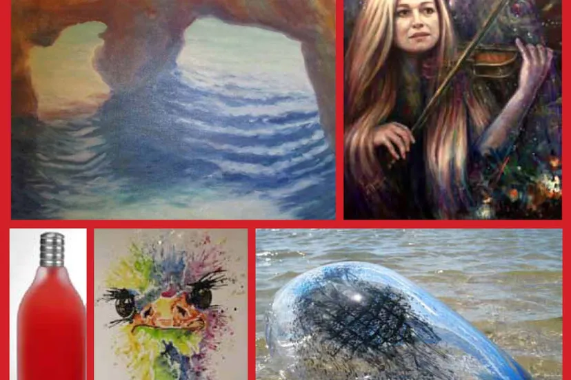 beeldmateriaal van de 5 kunstenaars