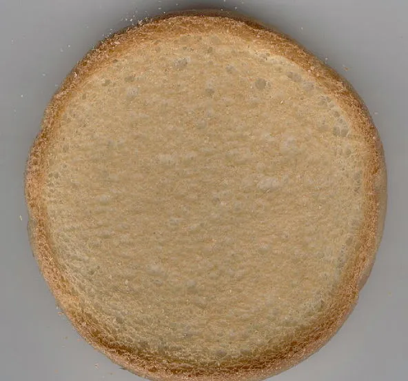 beschuitje wikimedia