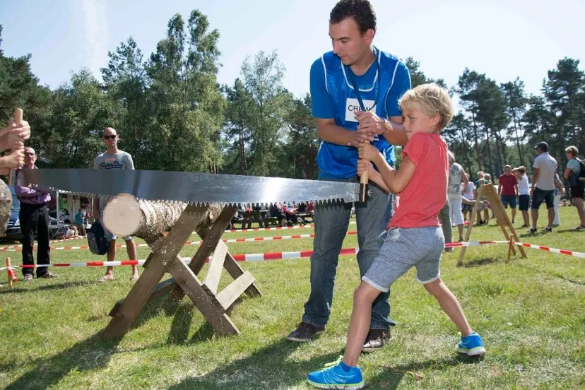 boomstamzagen a hoge veluwe