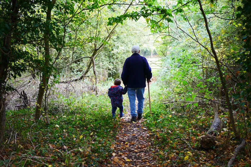 canva grandparent walking with child on a forest path 1