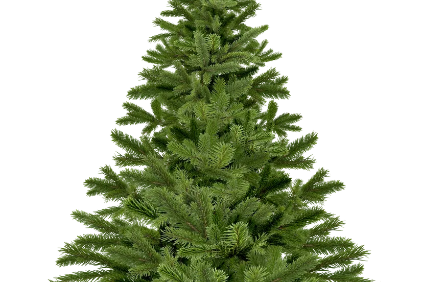 christmas tree christmas 1796131 1920