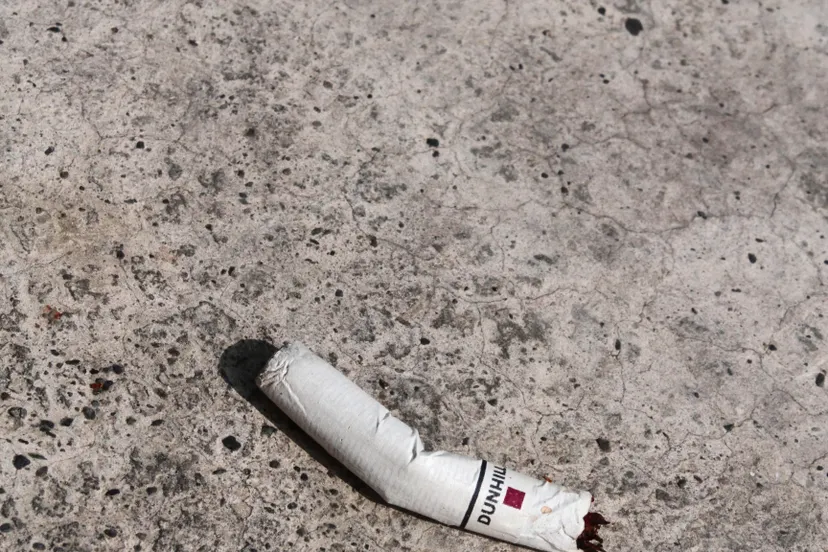 cigarette butts 9964751