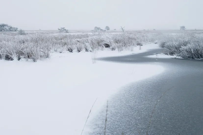 deelense veld ruben smit