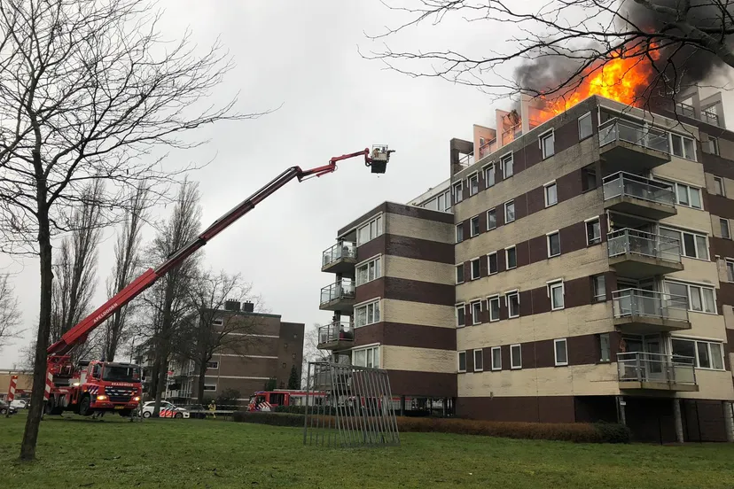 fd3517c1 653e 46a4 b249 e3025201f076