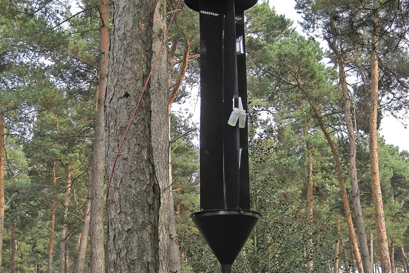 feromonenval vlinderval wikimedia