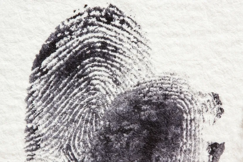 fingerprint 255904 1920