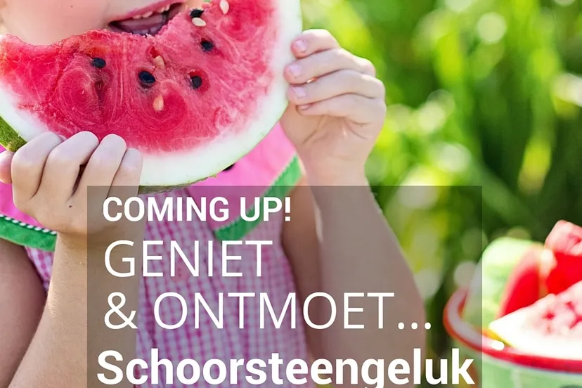 geniet en ontmoet 2 schoorsteengeluk