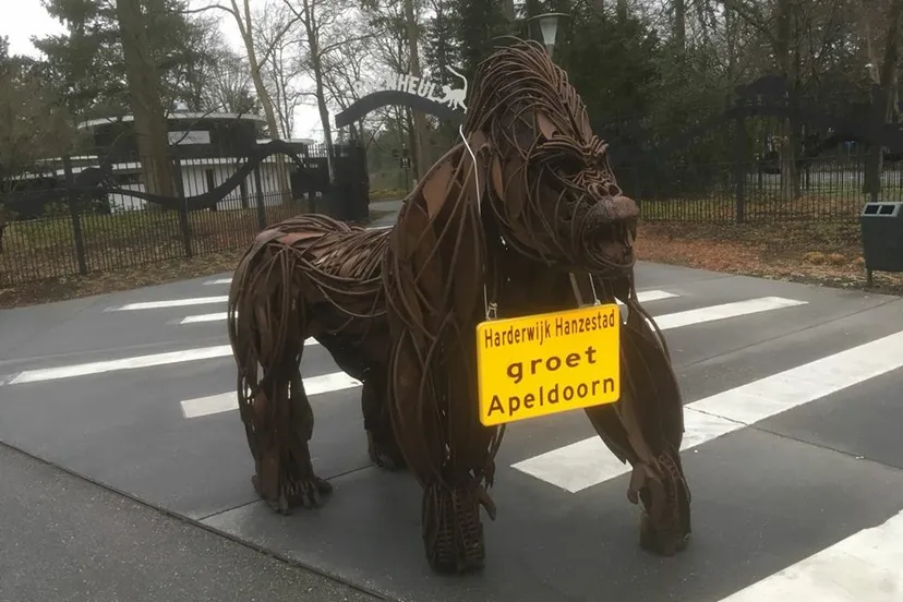 gorilla 1 april apenheul harderwijk