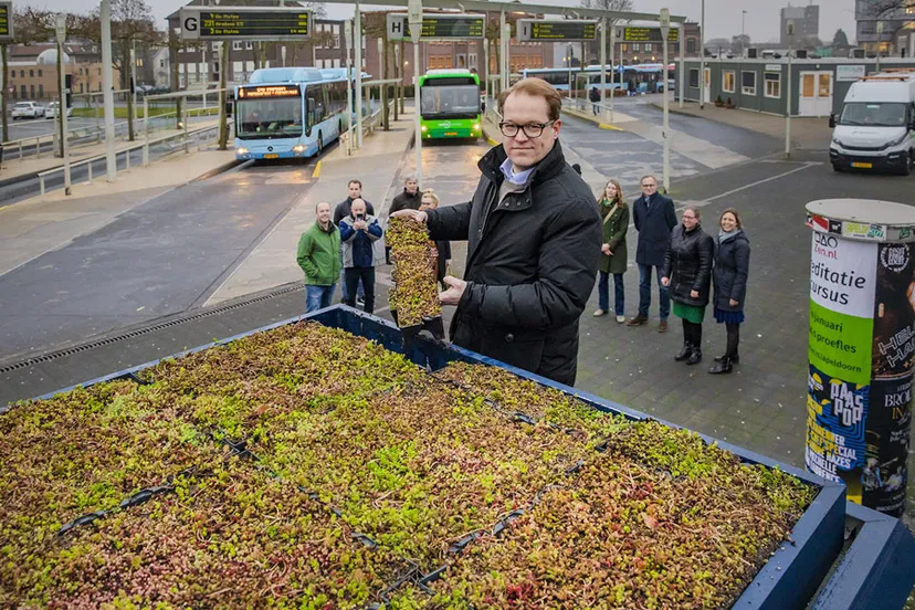 groene bushokjes groot website apeldoorn
