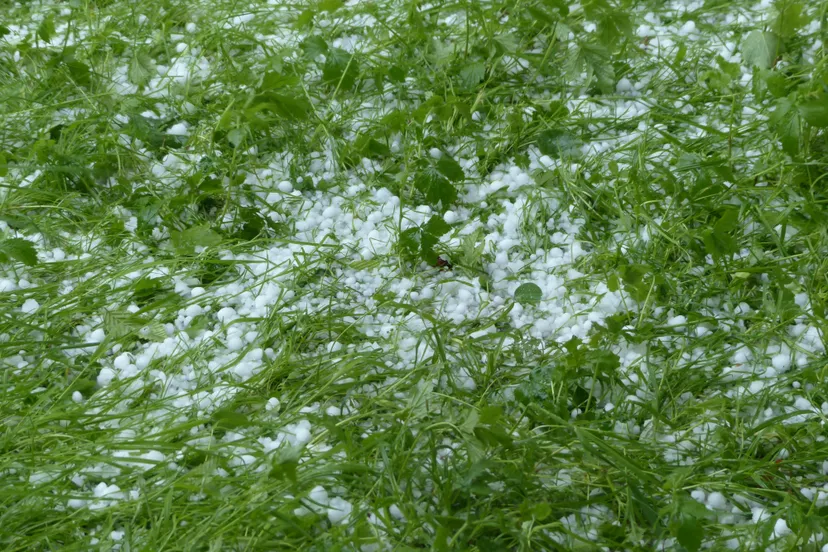 hailstones 123044