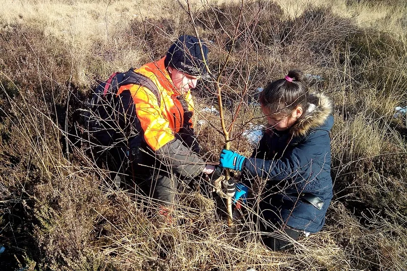 heitrekdag a helicon