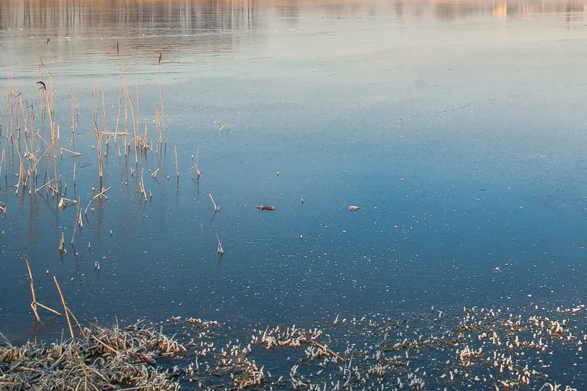 ijs ijsvloer koudste pixabay1