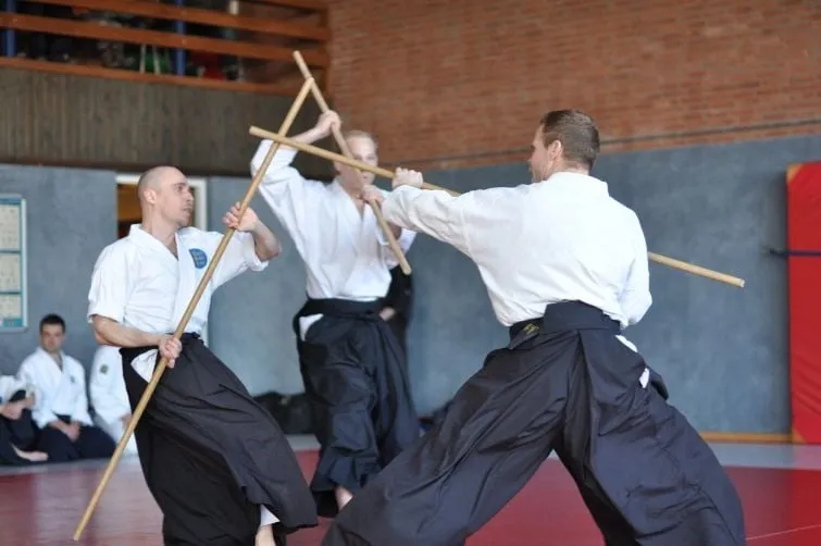 japanse krijgskunsten joep sonsbeek