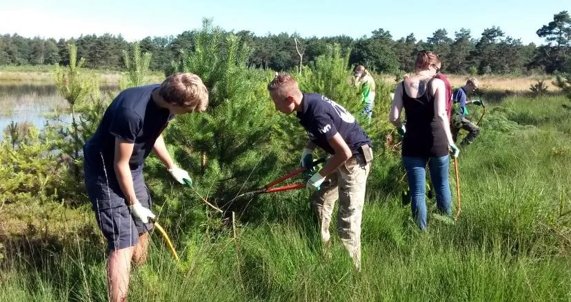 junior rangers hoge veluwe