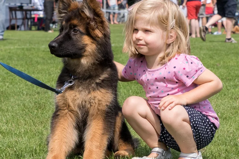 liefhebbersdag2016 nataschadix kl