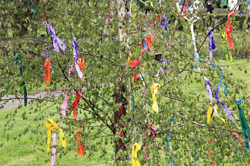 mei boom pinksteren pixabay