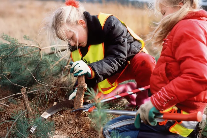 natuurwerkdag staatsbosbeheer