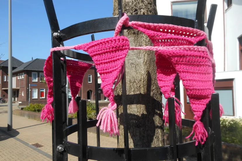 no worry roze wijst de weg