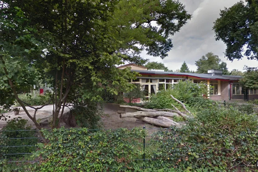 ontwerp zonder titel 1