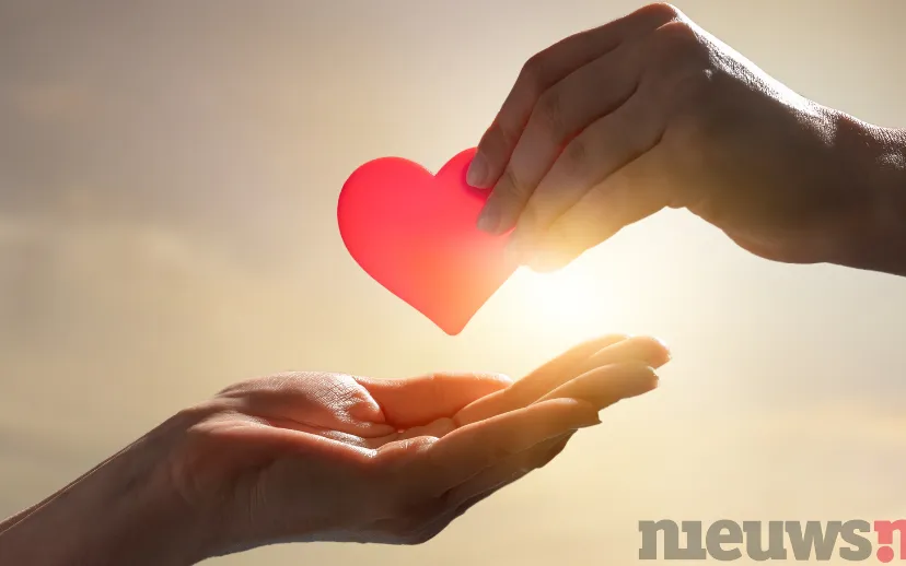 ontwerp zonder titel 1