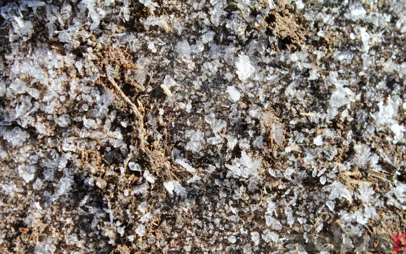 ontwerp zonder titel 12