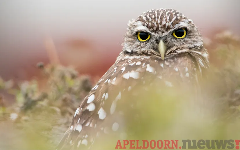 ontwerp zonder titel 14