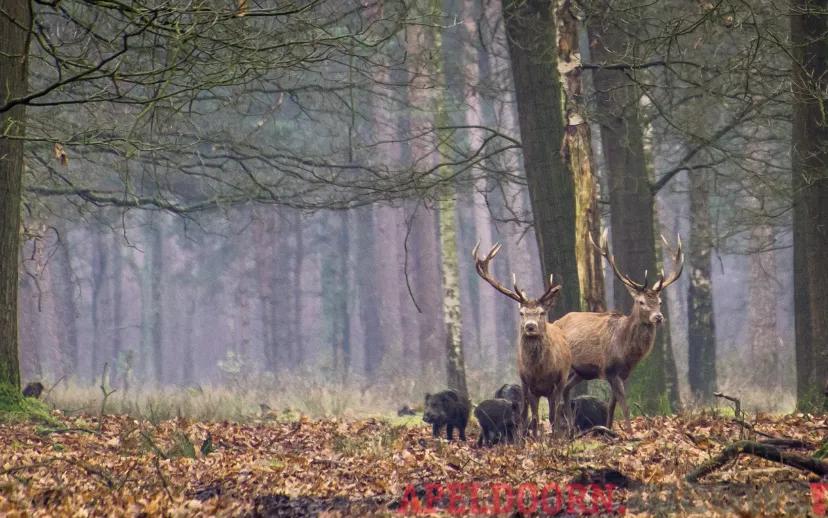 ontwerp zonder titel 2